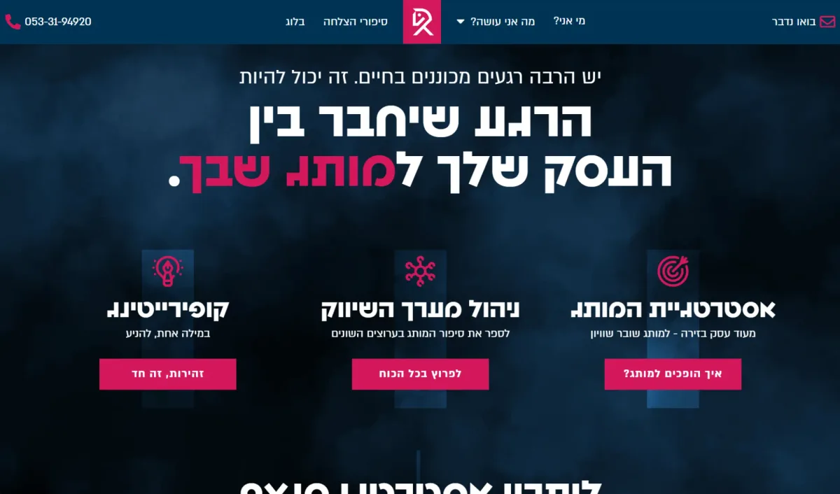 עבודה מתוך קורס סטייליינר
