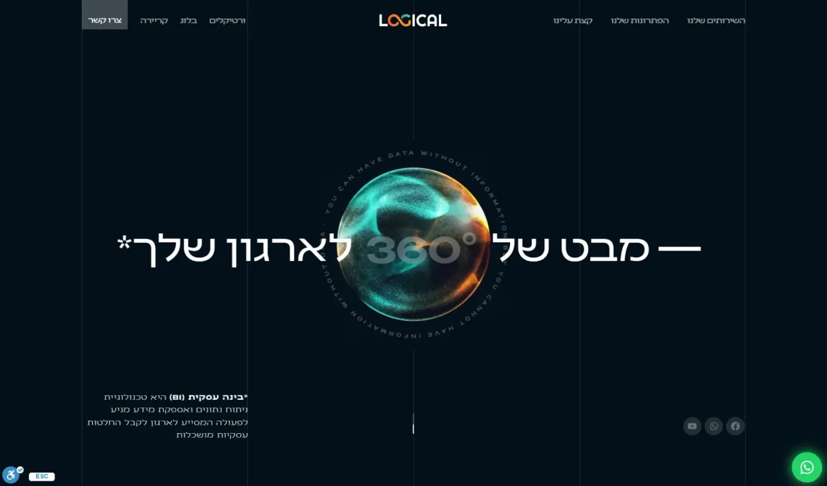 עבודה מתוך קורס סטייליינר