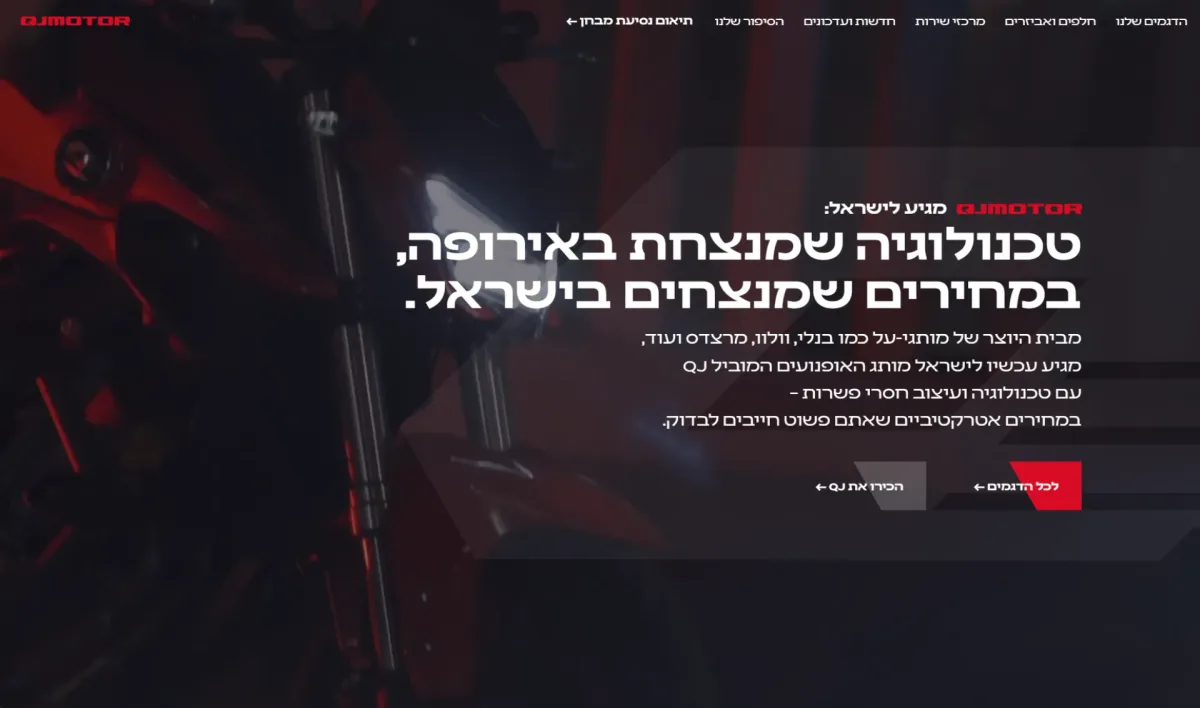 עבודה מתוך קורס סטייליינר