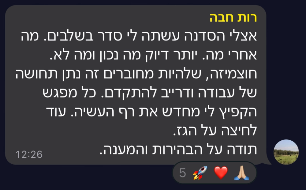 המלצה על סדנת טופליינר — בניית עסק מעיצוב ובניית אתרים עם חיים בניסטי (8)