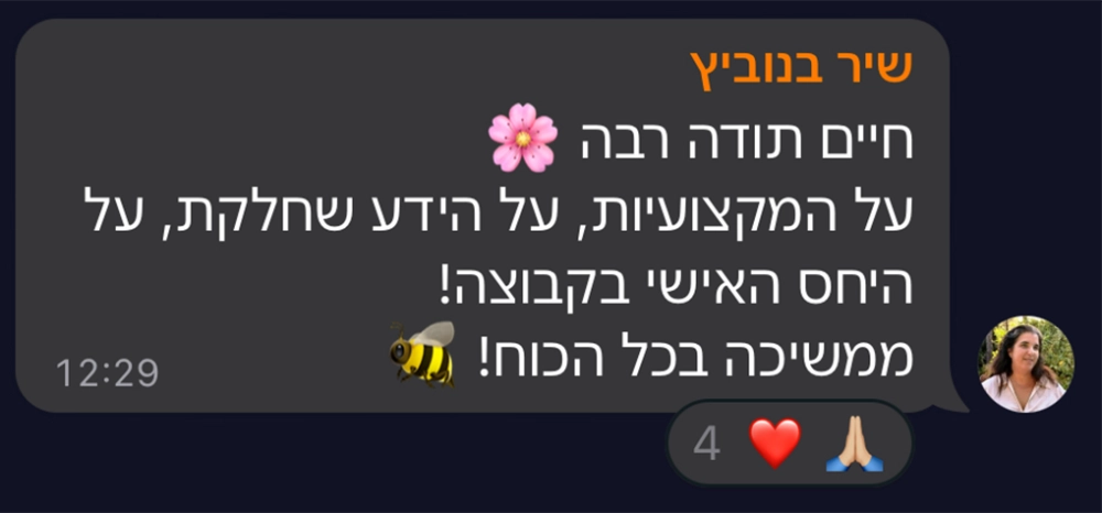 המלצה על סדנת טופליינר — בניית עסק מעיצוב ובניית אתרים עם חיים בניסטי (9)
