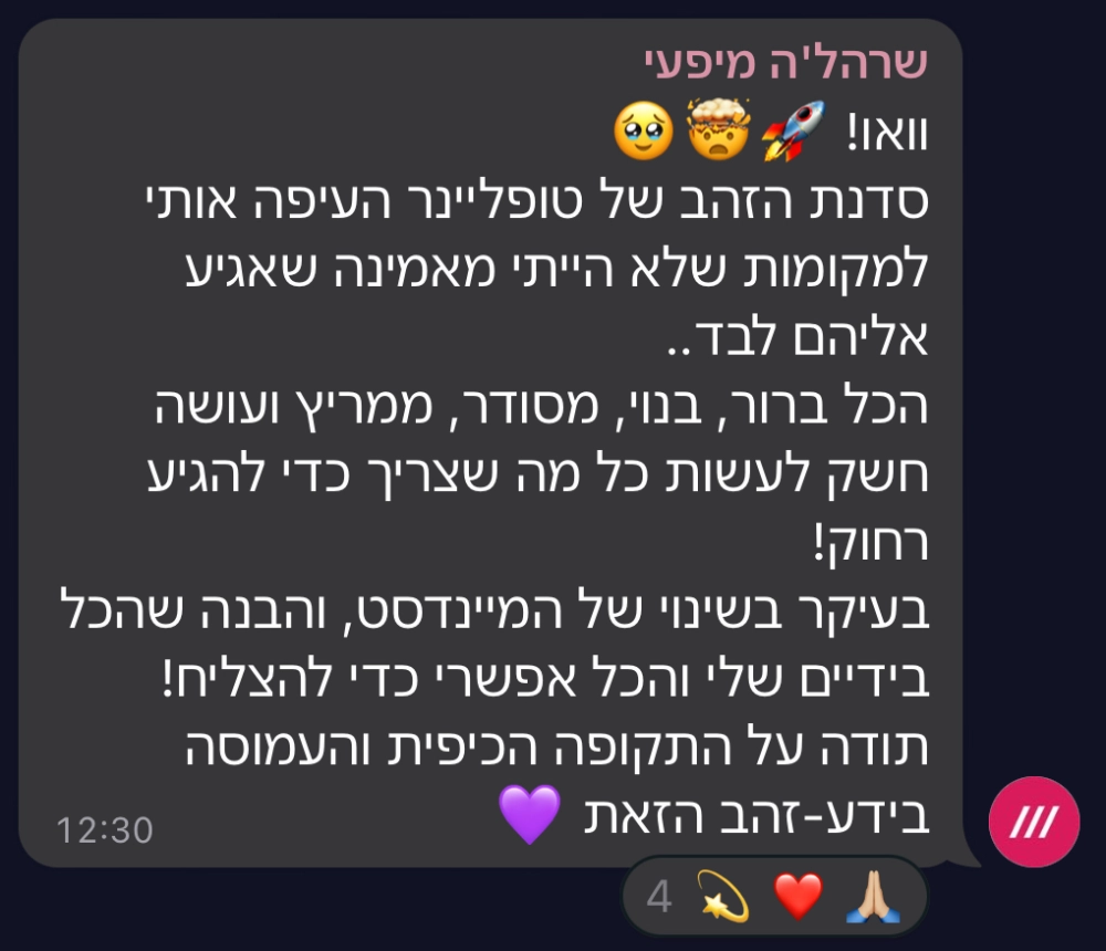 המלצה על סדנת טופליינר — בניית עסק מעיצוב ובניית אתרים עם חיים בניסטי (10)