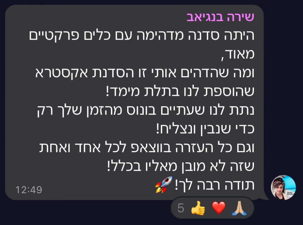 המלצה על סדנת טופליינר — בניית עסק מעיצוב ובניית אתרים עם חיים בניסטי (19)