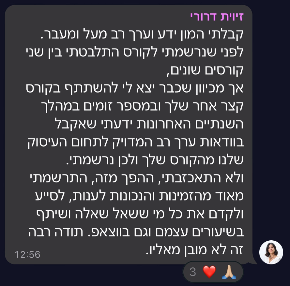 המלצה על סדנת טופליינר — בניית עסק מעיצוב ובניית אתרים עם חיים בניסטי (20)