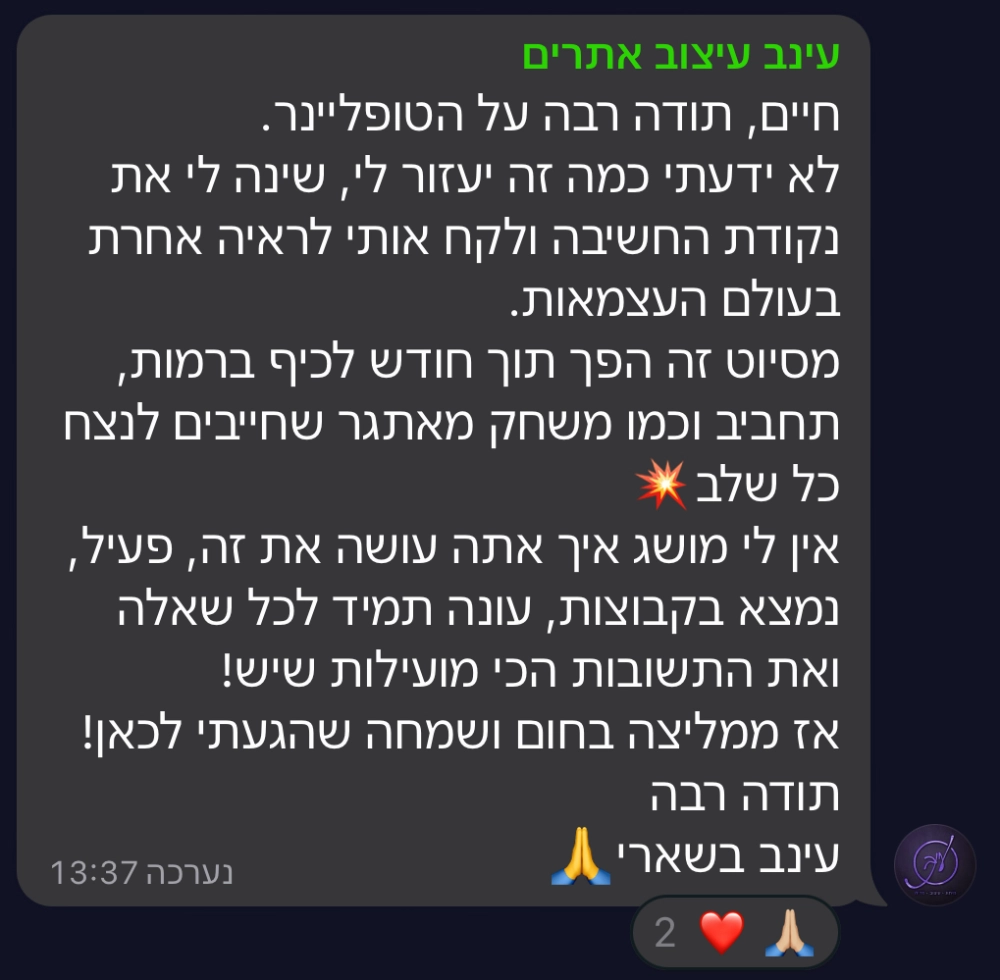 המלצה על סדנת טופליינר — בניית עסק מעיצוב ובניית אתרים עם חיים בניסטי (25)