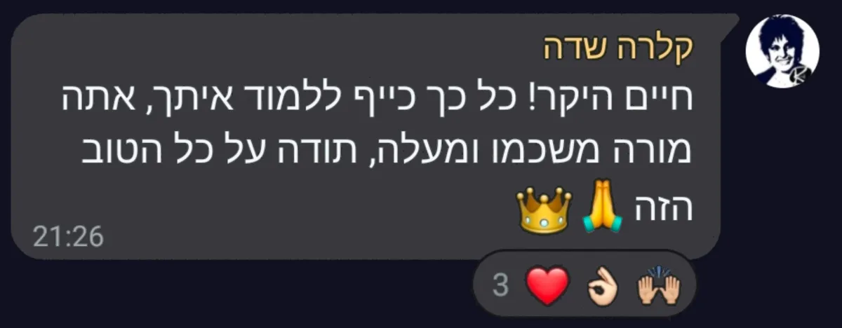 המלצה על סדנת וייבליינר — בניית אתרים ואפליקציות ב-AI עם חיים בניסטי (3)