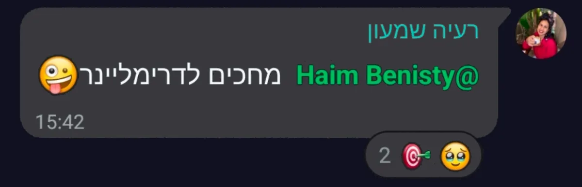 המלצה על סדנת וייבליינר — בניית אתרים ואפליקציות ב-AI עם חיים בניסטי (27)